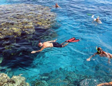 Wycieczka z Marsa Alam Snurkowanie w Sha'ab Samadai